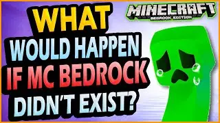 ✅ What if Minecraft BEDROCK didn't exist?
