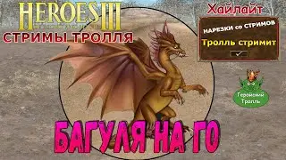 Багуля на ГО (Герои 3)