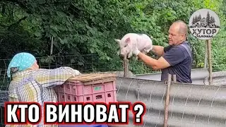 ТАЙНА ЗАБИТОЙ ПОИЛКИ, ПОРОСЯТА ПРОТИВ НУТРИЙ. БЫЛ ЛЕСНОЙ - СТАЛ ОБЛАСТНОЙ.