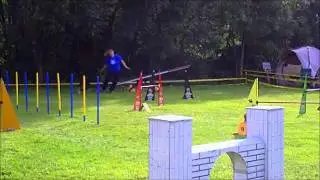 Agility Turnier Menden - Sandy & Trinity