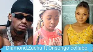 Onsongo comedian to feature in zuchu and Diamond platinumz wasafi next song💞.//onsongo msaniiwabongo