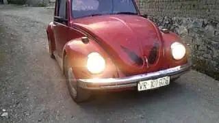 VW Buba - Bini