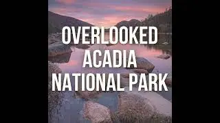 Overlooked Acadia National Park (from an Artist in Residence!)