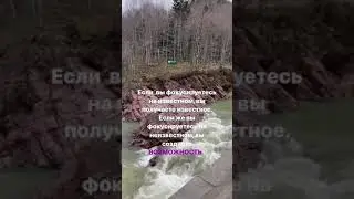 20 августа 2024 г.