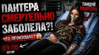 ТАНЦУЙ ПАНТЕРА КОТТЕДЖ КАЗАНЬ — ПАНТЕРА ЗАБОЛЕЛА?!