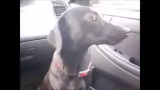 АСЯ