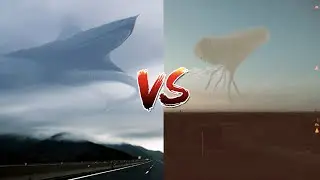 Aircraft Shark vs Angel Rapture