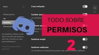 Configurando Discord #2- Todo sobre Permisos 2/2