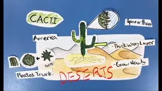 Desert Ecosystems - Plant and Animal Adaptations (Student Made)