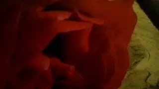 На конкурс Доза счастья эвер автер хай.НЕОБЯЗАТЕЛЬНО СМОТРЕТЬ
