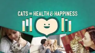 5 Cool Things to Know About Cat Adoption