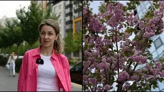 Інтервʼю з ландшафтним дизайнером «Таїровських садів»