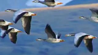 Небо над водой