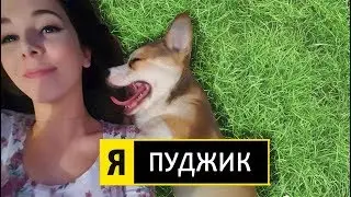 УЧУ СВОЕГО ПЁСЕЛЯ ЛОВИТЬ ГУЛЕЙ