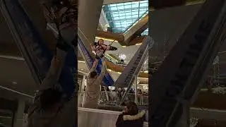 Zip zip