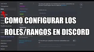 Como configurar y dar permisos a los roles en Discord