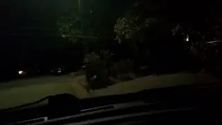 parking lot rules until we Let Love Rule