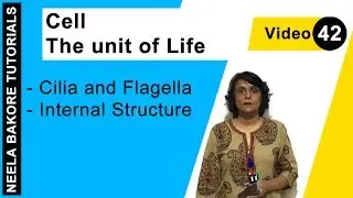 Cell - The Unit of Life | NEET | Cilia and Flagella - Internal Structure | Neela Bakore Tutorials