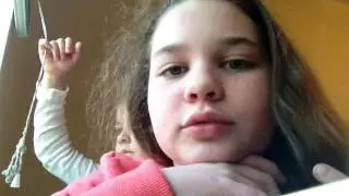 Мои кошки