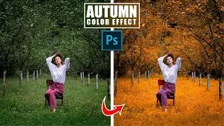 Spring to Autumn Color Effect in Photoshop | Urdu Hindi