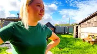 Гибнут Куры / Год В Деревне / Купили Дрова/ Крашу Предбанник/ Простая Жизнь