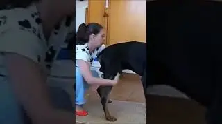#shorts 2