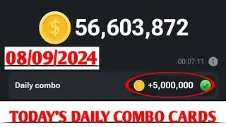 HAMSTER KOMBAT DAILY COMBO CARDS TODAY 08/09/2024