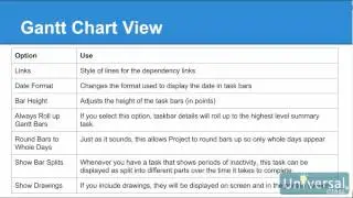Lesson 15: Customizing and Formatting Your Project - Microsoft Project 2016 Course | Universal Class