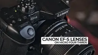 Canon EF-S Lens to EF Mount