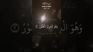 سورۃ الملک کی بہت ہی پیاری ایات #islamicvideo #viral #allah #quranrecitation