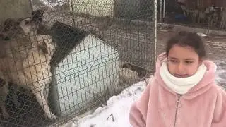 YOZGAT HAYVAN BARINAĞINA ZİYARETİ