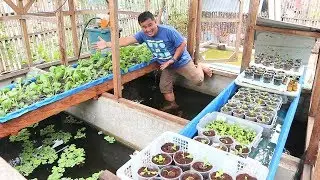 WANT A GARDEN, BUT DON’T HAVE ENOUGH SPACE? HYDROPONICS GARDENING IS THE ANSWER!