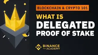 What is Delegated Proof of Stake (DPoS) ｜Explained For Beginners