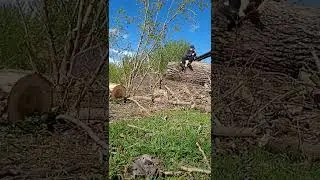 Неудачные нарезки