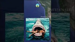 Huge Shark😱on Google Earth 