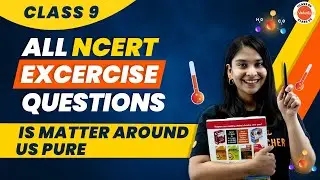 Is Matter Around Us Pure Class 9 | All NCERT Exercise Solutions for Class 9 Science Ch-2 