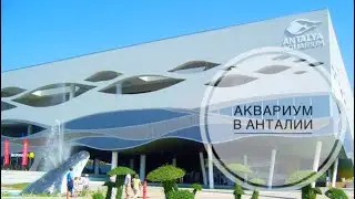 Аквариум в Анталии / Турция