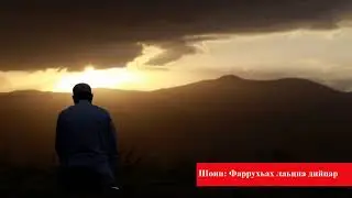 Шоип Тутаев 