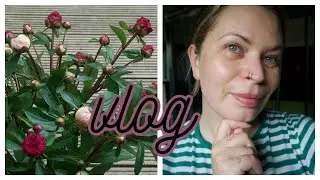 WYPADŁ MI ZĄB+ OGŁOSZENIA PARAFIALNE 💋 ғoĸυѕowana