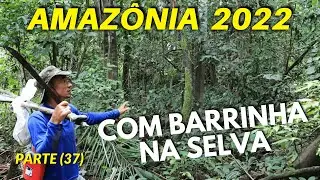 BACK TO THE MANGUEIRA COMMUNITY (PART 37) WITH BARRINHA IN THE AMAZON JUNGLE AMAZON BRAZIL