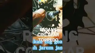 how to install pixi soloist gear torpedo