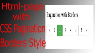 How to Create a Pagination with Borders Only Html and CSS(2021)