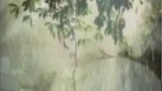 Τάκης Σωτηρχέλλης- Ταξίδι στη βροχή-cd ταξίδι στη βροχή