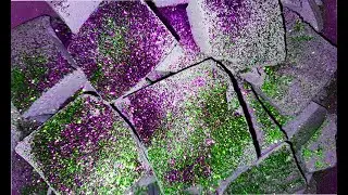 Purple Reforms - Whole crushes and Slabs - ASMR Gym Chalk 💜✨Jeena crunches