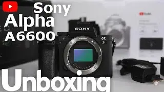Sony Alpha A6600: First Look in 2024 (Only Body)