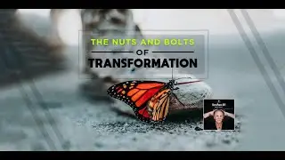 SPU: The Nuts and Bolts of Transformation