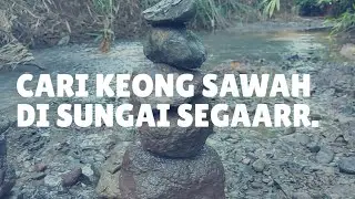 CARI KEONG DI SUNGAI LEBIH BAYAK HASILNYA - PB. SRI ASIH CIPAJANG