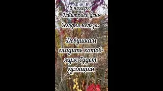8 ноября Дмитриев день, приметы 
