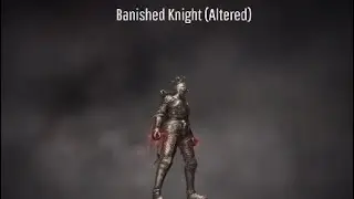 Unaltered Banished Knight Set and Variations