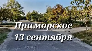 💥Уснули под утро. Было страшно! Но дела никто не отменял. Острый перец с медом и уксусом.
